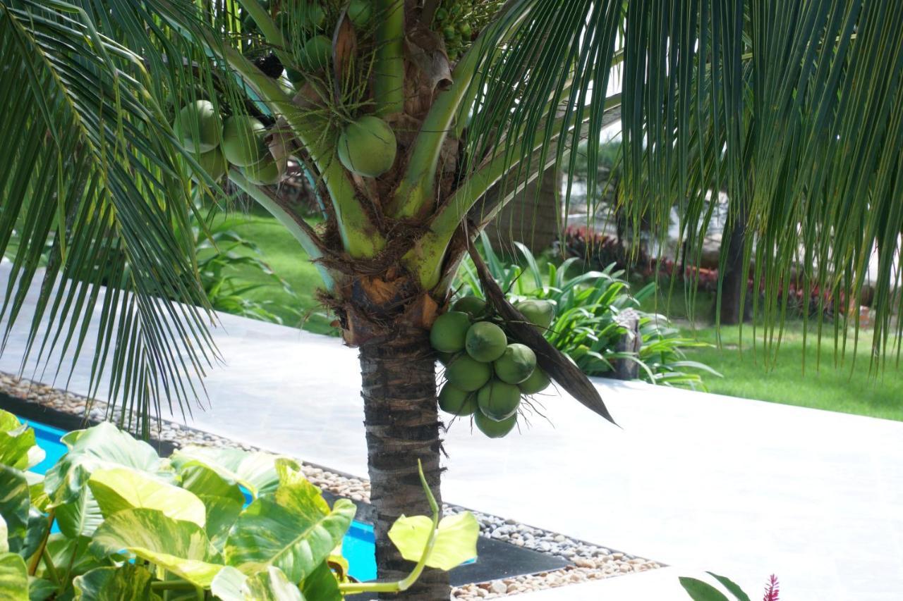Ravenala Muine Resort Phan Thiết Eksteriør billede